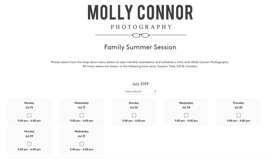 screenshot of Iris Works